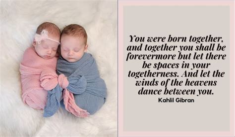 Quotes About Twins Cute Funny And Heart Warming