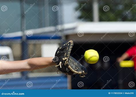 Softball Player Reaches Out To Catch Ball Stock Photo Image Of Warm