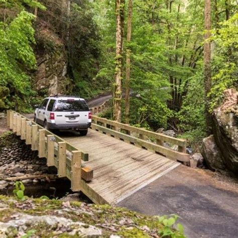 5 Popular Scenic Drives In The Smoky Mountains Tennessee Road Trip