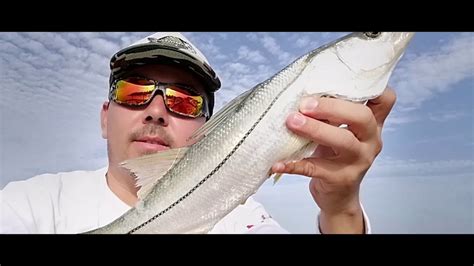 Pesca De Robalos Youtube