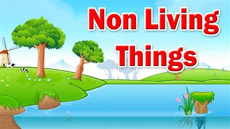 Non Living Things For Kids Educational Videos Youtube