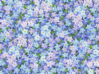 Search free periwinkle wallpapers on zedge and personalize your phone to suit you. 9 Periwinkle header ideas in 2020 | periwinkle, lavender ...