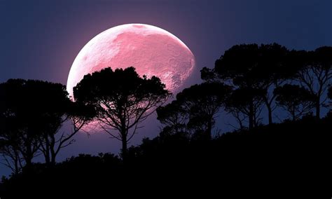 The Full April Pink Moon Will Be 1st Supermoon Of 2021 Statue