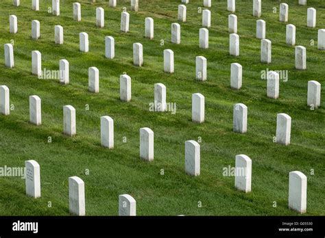 Rows Of White Headstones Marking Graves In Arlington National Cemetery
