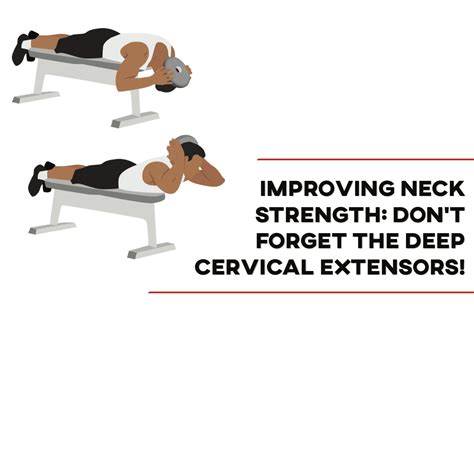 Improving Neck Strength Dont Forget The Deep Cervical Extensors P