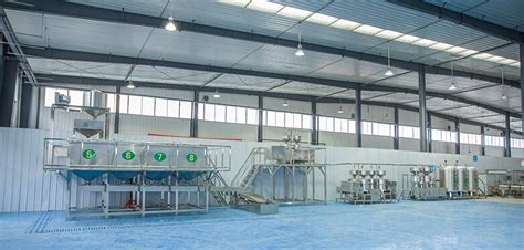 Soy Milk Processing Lineequipment Ibc Machine