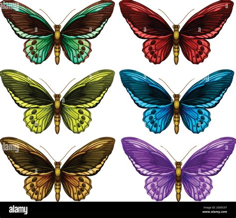 Monarch Butterflies In Six Different Color Wings Stock Vector Image