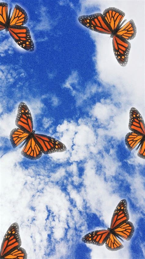 Monarch Butterflies Butterfly Wallpaper Iphone Butterfly Wallpaper