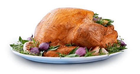 Fresh & Frozen Turkey, How To Cook Turkey, Turkey Recipes ...