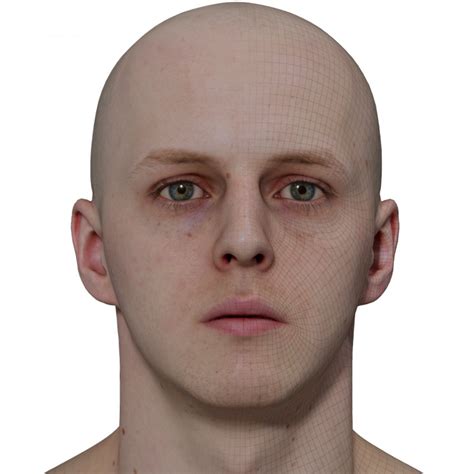 Male 3d Model Retopologised Head Scan 015