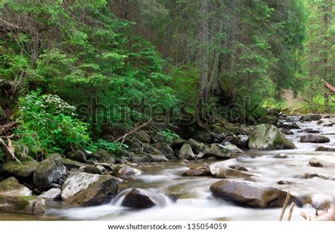 Cascades On Clear Creek Forest Stock Photo 135054059 Shutterstock