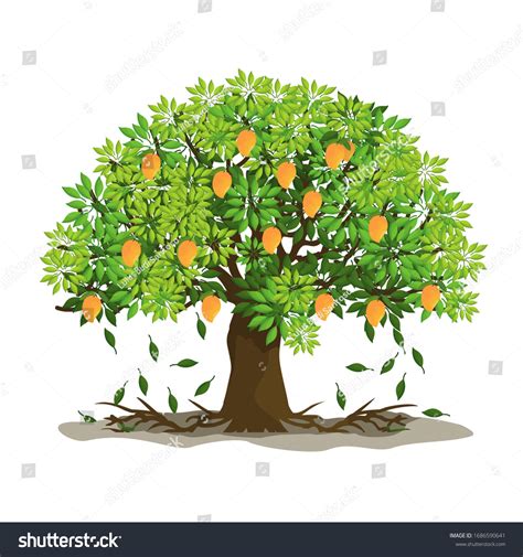 3661 Mango Tree Vector Images Stock Photos And Vectors Shutterstock