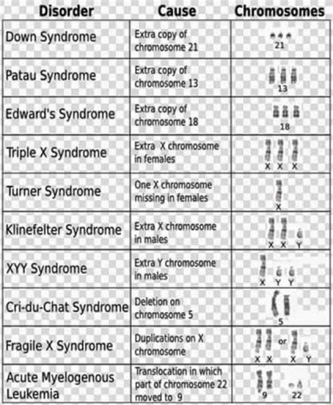 Chromosomal Disorders Dna Dna Notes Medical Laboratory Science