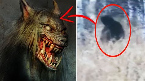 कैमरे मे कैद Wendigo या Werewolf Real Wendigo Caught On Camera