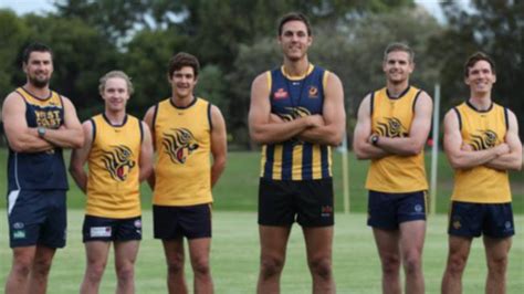 wa amateur football league set for big year with plenty of ex afl talent among the coaching