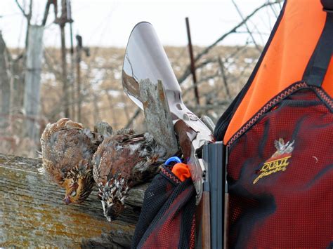 Upland Hunters Support Quail Forever Because They Know Quality Upland
