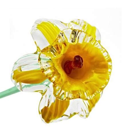 We did not find results for: Daffodil Glass Flowers | Daffodil flower, Glass garden ...