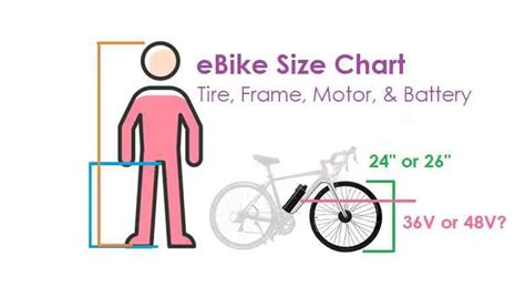 Trek Road Bike Medium Frame Size Chart By Height