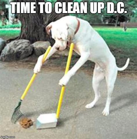 Clean Up Dog Poop Meme