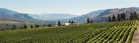 Golden Mile Bench Wine Region Of British Columbia Wine Bc