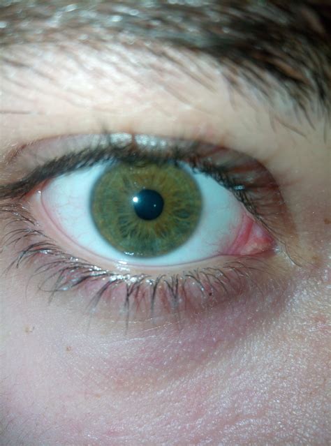 Какой цвет глаз Пикабу