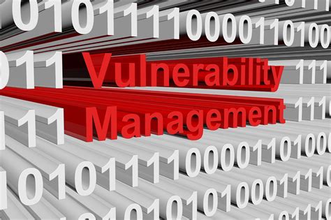 Vulnerability Management Protects Your Organization Riset
