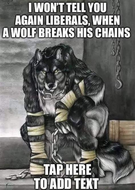 Wolf Breaks Chains Tells Liberals Emo Wolf Lobos Con Frases Sitting Wolf Know Your Meme
