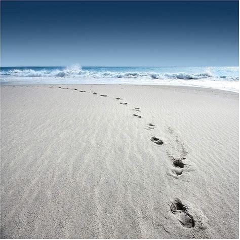 Footprints In The Sand Wallpaper Layouts Backgrounds