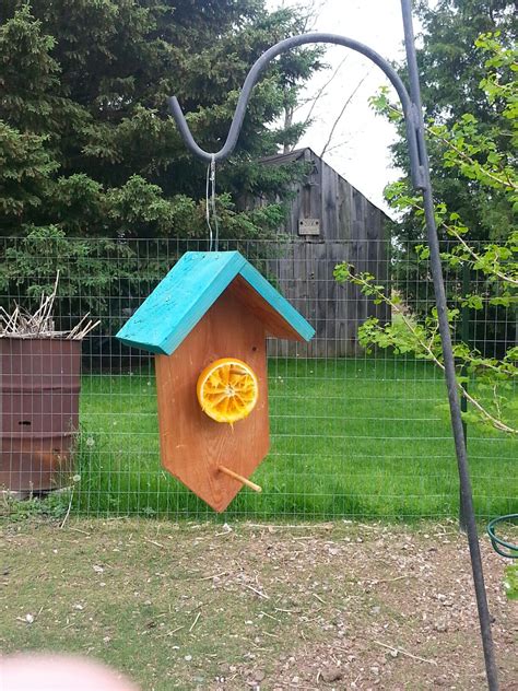 Homemade oriole feeder | Bird house, Outdoor decor, Outdoor