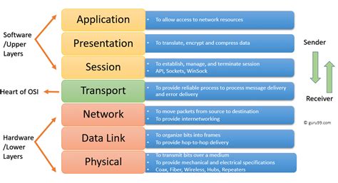 Layers And Protocols Of The OSI Model In Computer Networks
