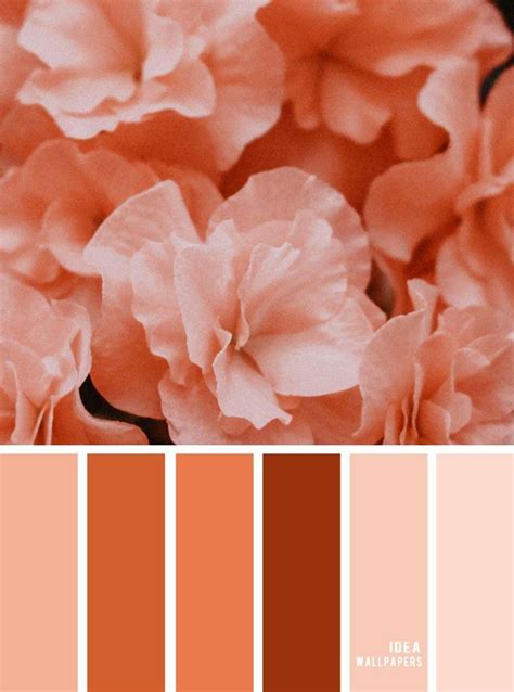 Peach Color Schemes Peach Color Palettes Pantone Colour Palettes My