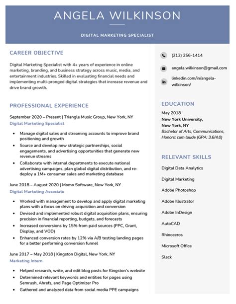 8 Best Resume Layout Examples For 2024
