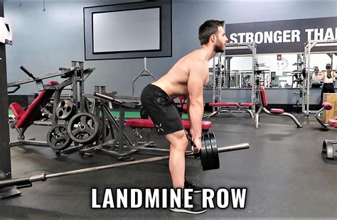 Bent Over Barbell Row Muscles Worked Proper Form