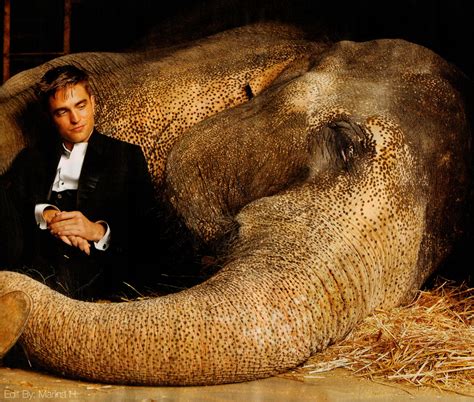 Water For Elephants 2011 Directed By Francis Lawrence Starring Reese