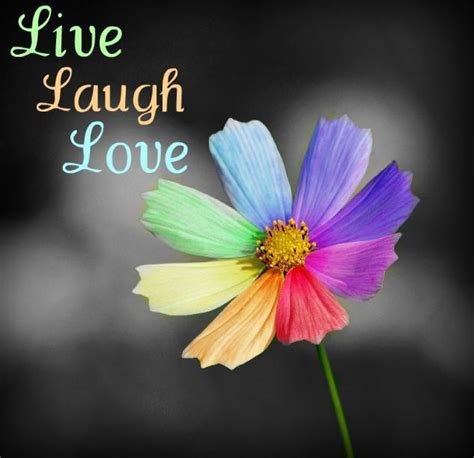 Flower Laugh And Live Image 263663 On
