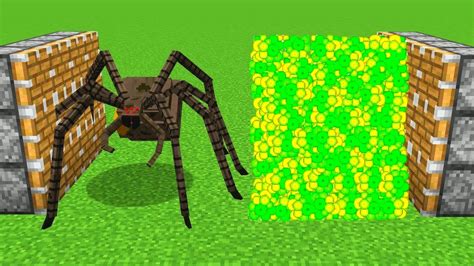 Mutant Spider Xp Minecraft Youtube