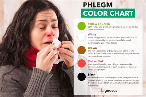 Green Phlegm Is It Bad News Lignosus