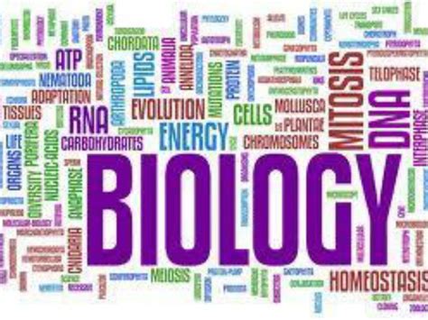 Ppt Welcome To Biology Ii Powerpoint Presentation Free Download Id