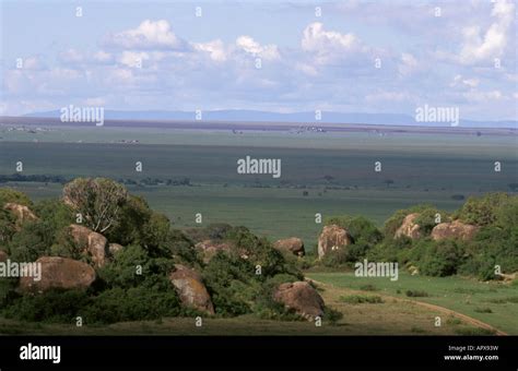 Serengeti Plains Seen From Moru Koppies Stock Photo Alamy