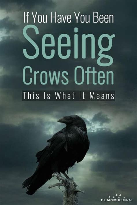Spiritual Meaning Of Seeing Crows 3 Powerful Crow Symbolism Crow