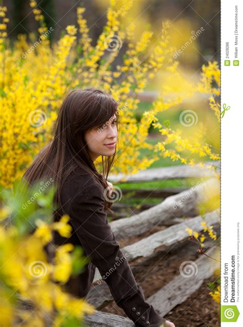 Mazzo fiori gambo lungo giallo e bianco. Donna Circondata Dai Fiori Gialli Fotografia Stock ...