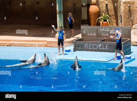A Dolphin Show At Ushaka Marine World In Durban South Africa Stock