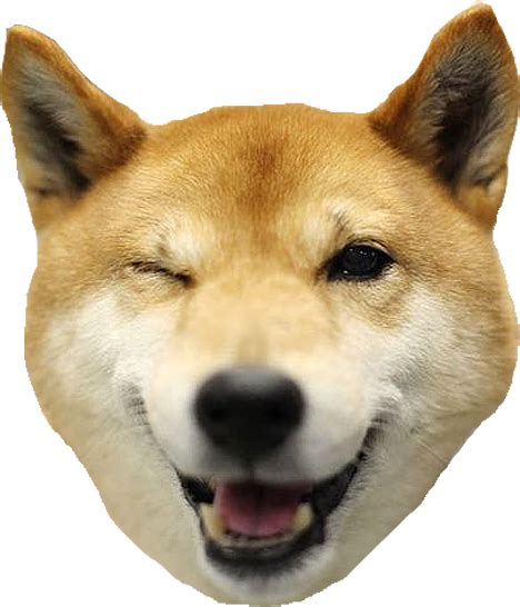 Doge Head Png 20 Free Cliparts Download Images On Clipground 2024
