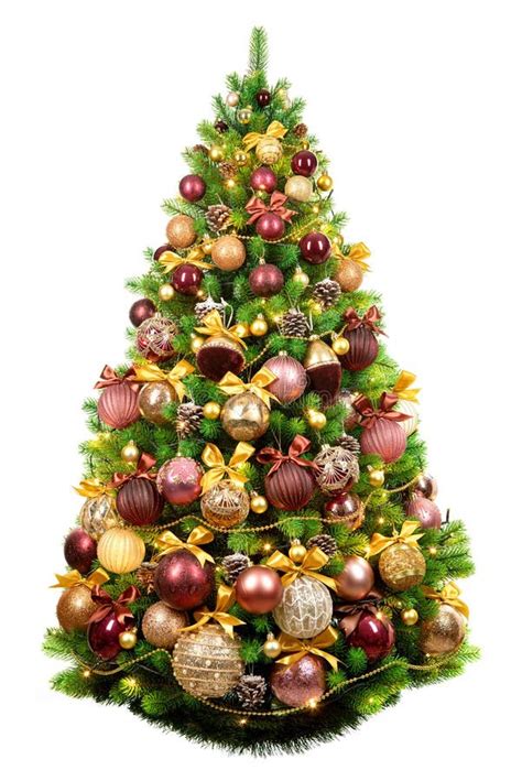 Beautiful Christmas Tree Isolated On White Background Stock Photo