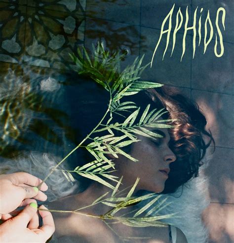 Aphids Sophie Strauss