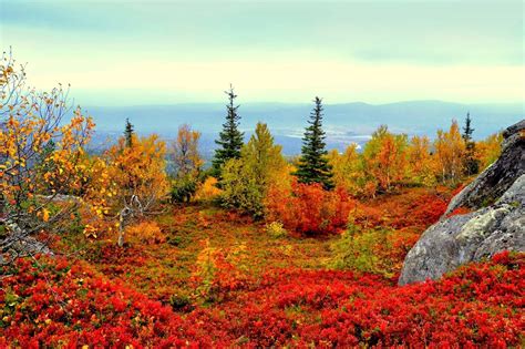 Ruska Suomi Autumn Colours Finland 🍂🇫🇮 3 Finland Europe In