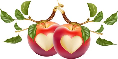 Heart Shaped Apple Vector 73893756 Transprent Png Heart Shape On