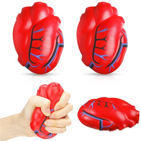 Buy 3 Pieces Valentine Fake Heart Vivid Human Heart Prop Pu Foam