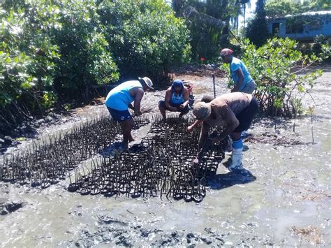 Ias Fiji Ridge To Reef Project Site Wins Gef Regional Competition For