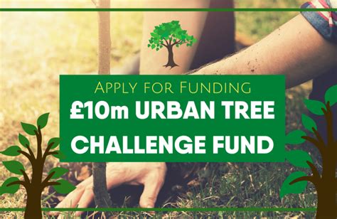 £10m Tree Planting Funding Available Mark Eastwood